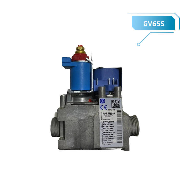 845 SİGMA 24V MAVİ BOBİN 0845072