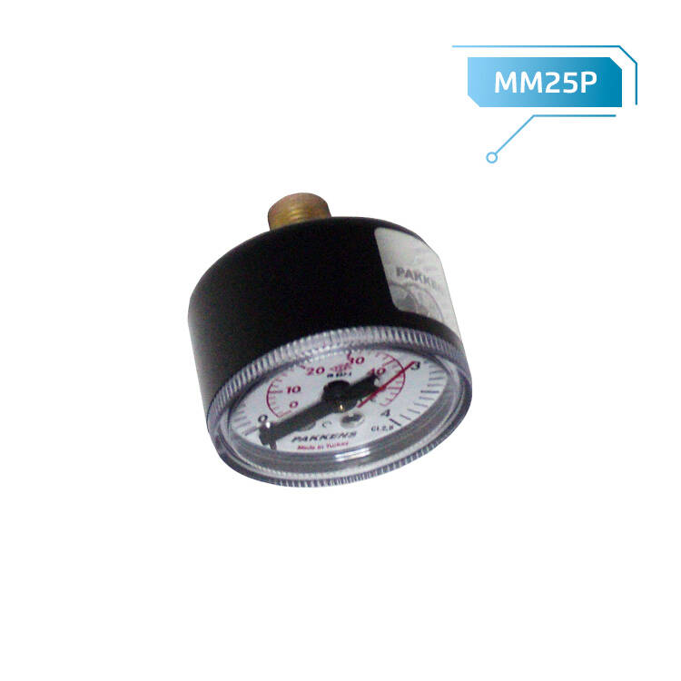 ALARKO BUDERUS GB22 - GB12 MANOMETRE 25 4 MM DİŞLİ